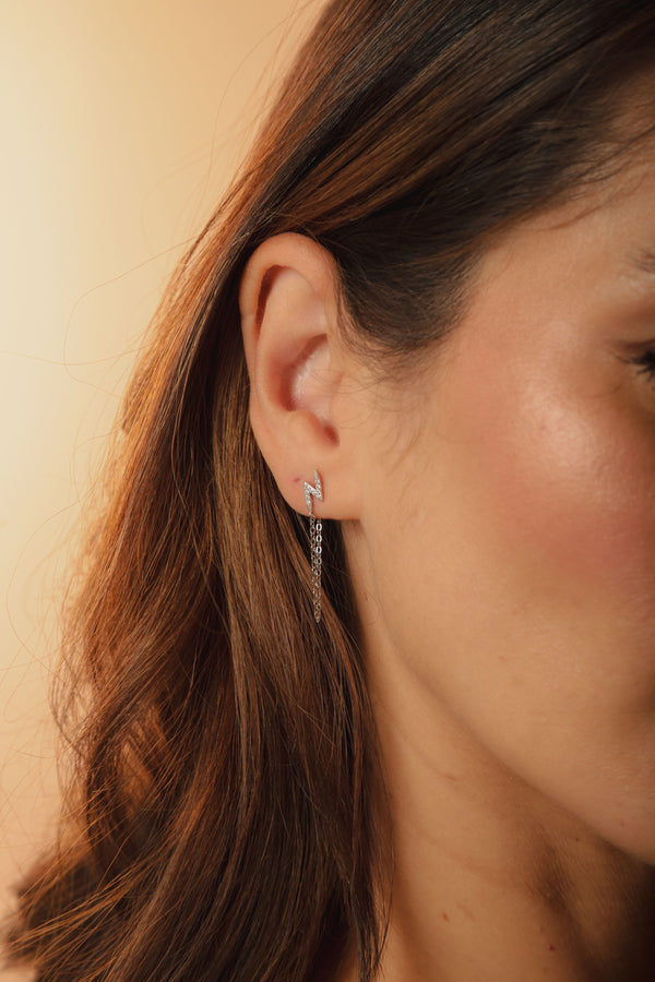 Brinco Ear Line P925